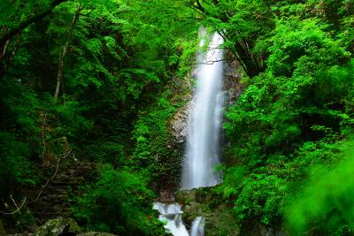 東京都_払沢の滝_遊び・体験_1
