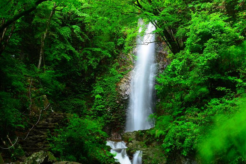 東京都_払沢の滝_遊び・体験_1