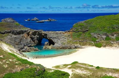 東京都_南島_遊び・体験_1