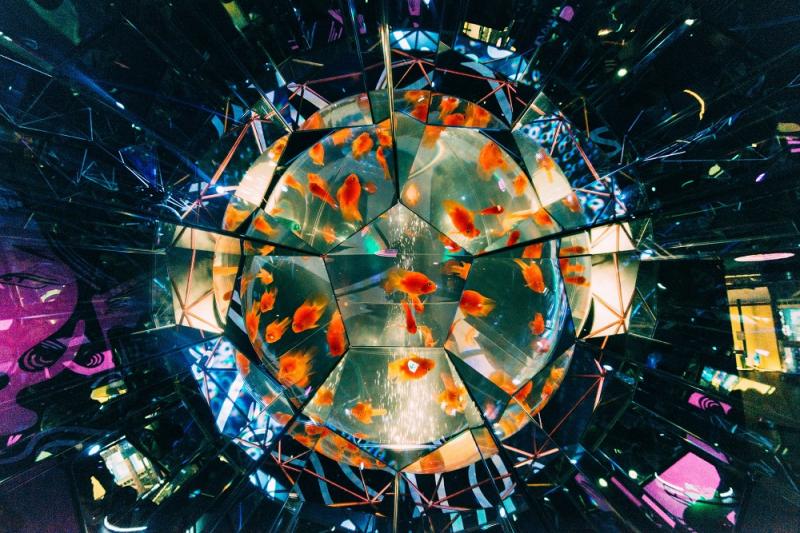 東京_アク和リウムGA☆KYO_遊び・体験_2