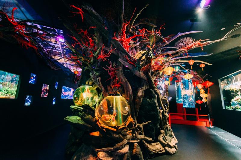 東京_アク和リウムGA☆KYO_遊び・体験_5