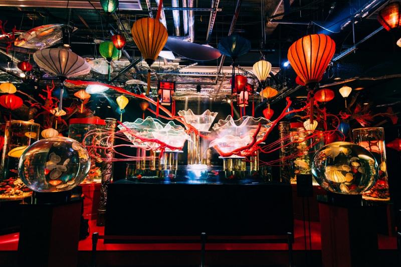 東京_アク和リウムGA☆KYO_遊び・体験_6