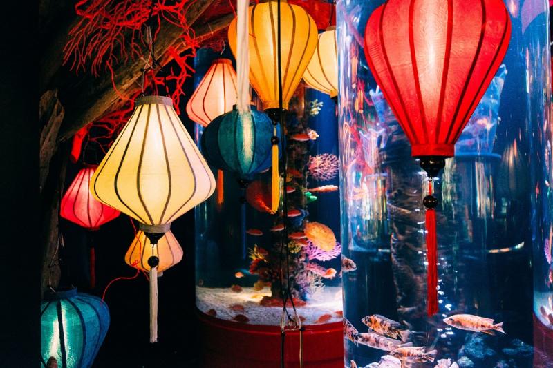 東京_アク和リウムGA☆KYO_遊び・体験_7