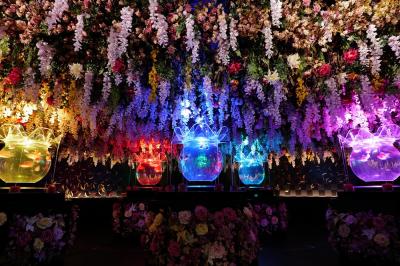 東京_アートアクアリウム美術館 GINZA_遊び・体験_1