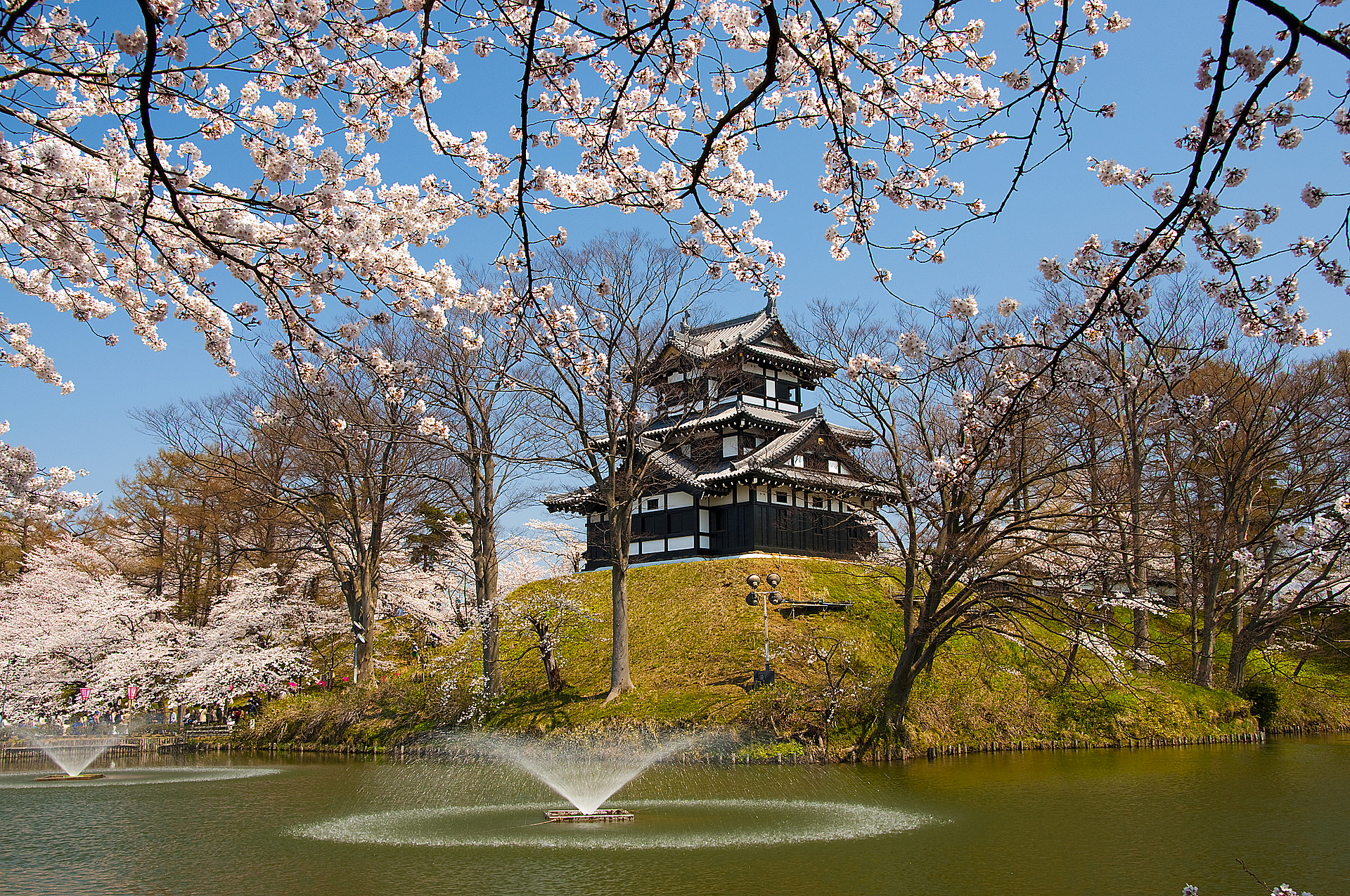 新潟_高田城址公園_遊び・体験_1