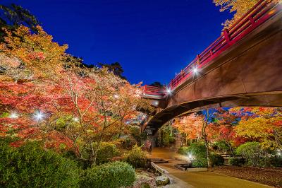 新潟_弥彦公園（もみじ谷）_遊び・体験_1