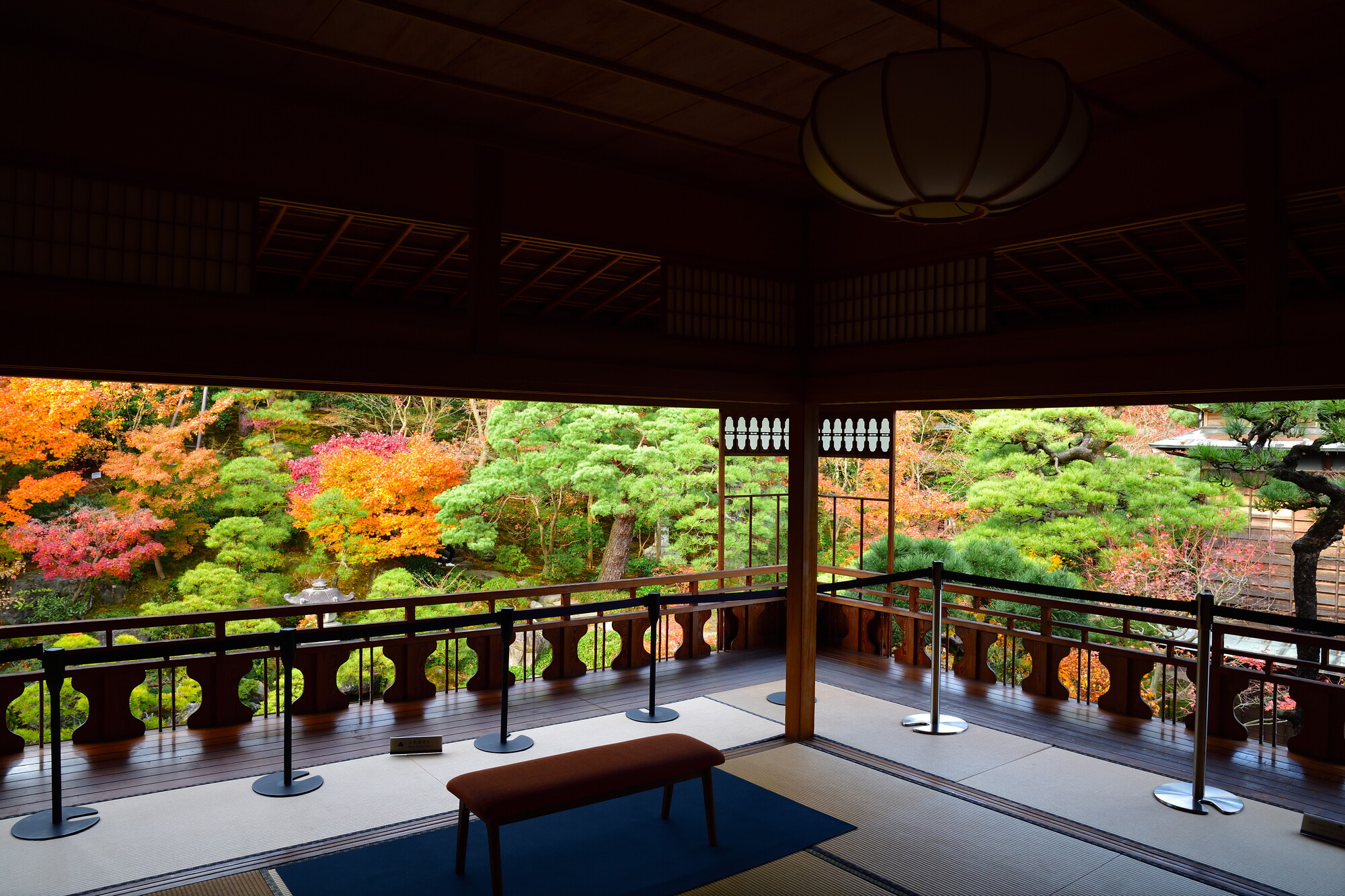 新潟県_旧齋藤家別邸_遊び・体験_1