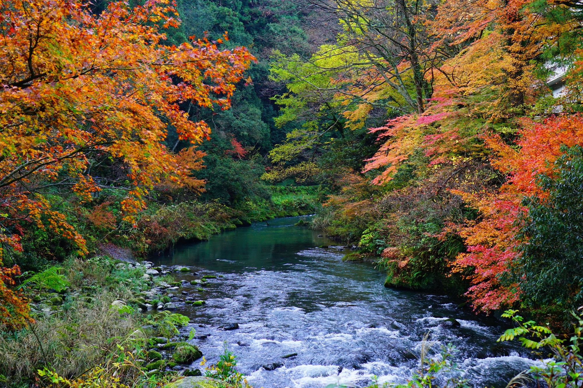 石川県_鶴仙渓_遊び・体験_1