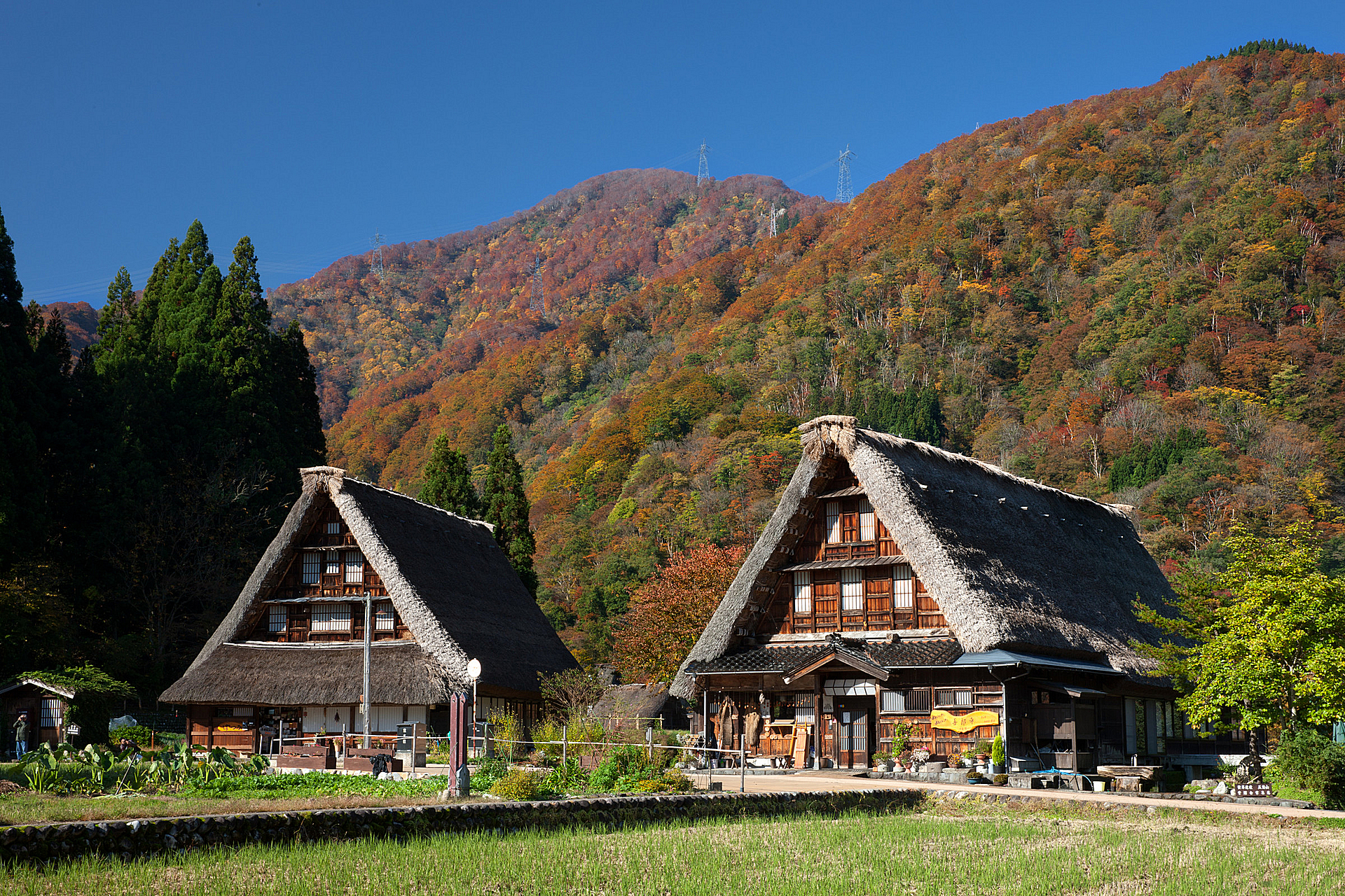 富山_菅沼合掌造り集落_遊び・体験_1