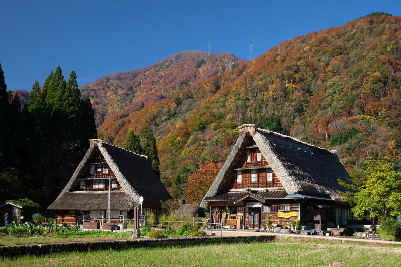 富山_菅沼合掌造り集落_遊び・体験_1