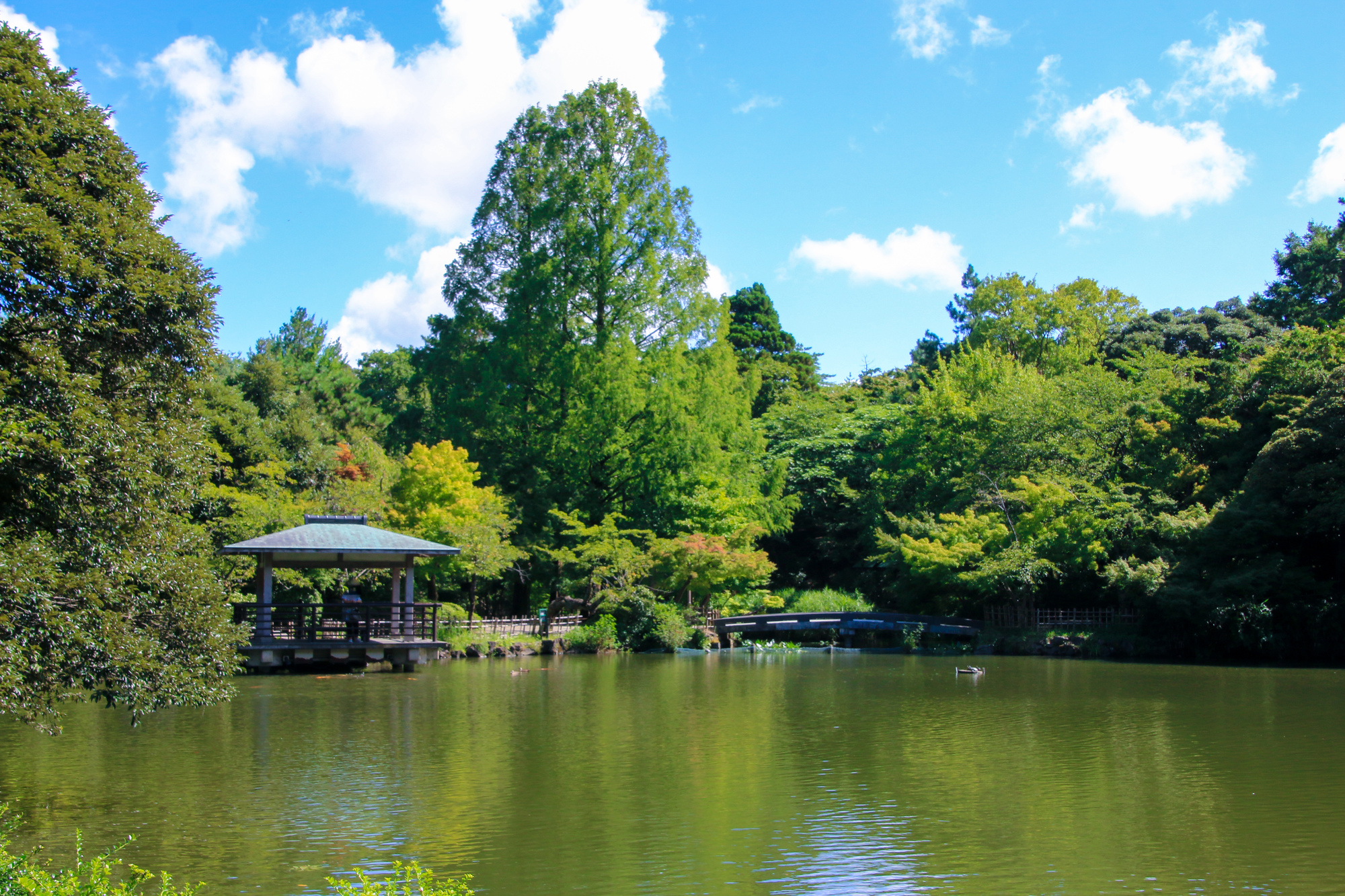 富山県_高岡古城公園_遊び・体験_1