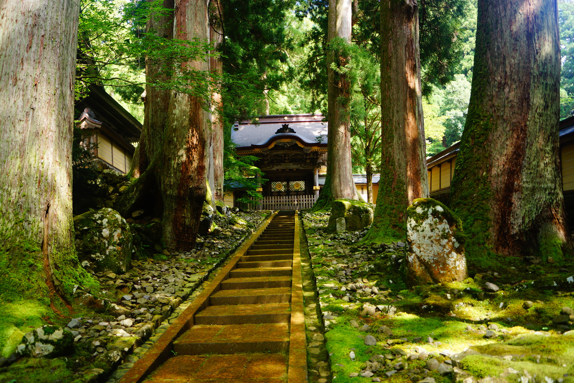 福井_大本山永平寺_遊び・体験_1