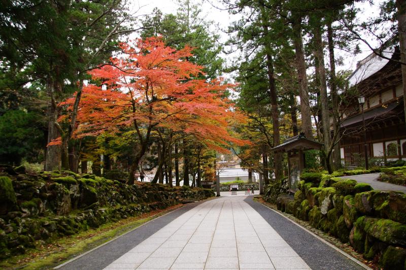 福井_大本山永平寺_遊び・体験_2
