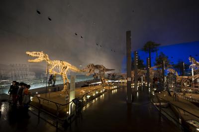 福井_福井県立恐竜博物館_遊び・体験_1