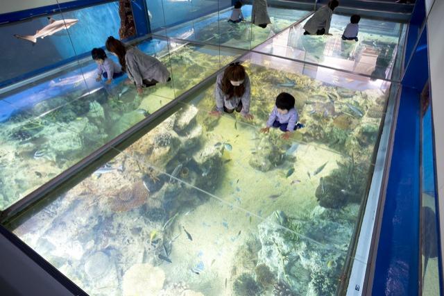 福井_越前松島水族館_遊び・体験_1