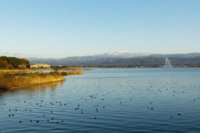 石川_柴山潟_遊び・体験_1