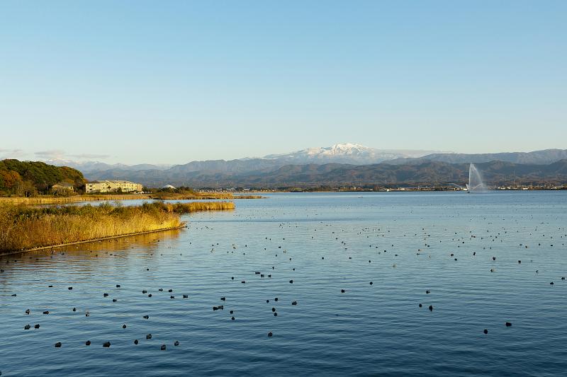 石川_柴山潟_遊び・体験_1