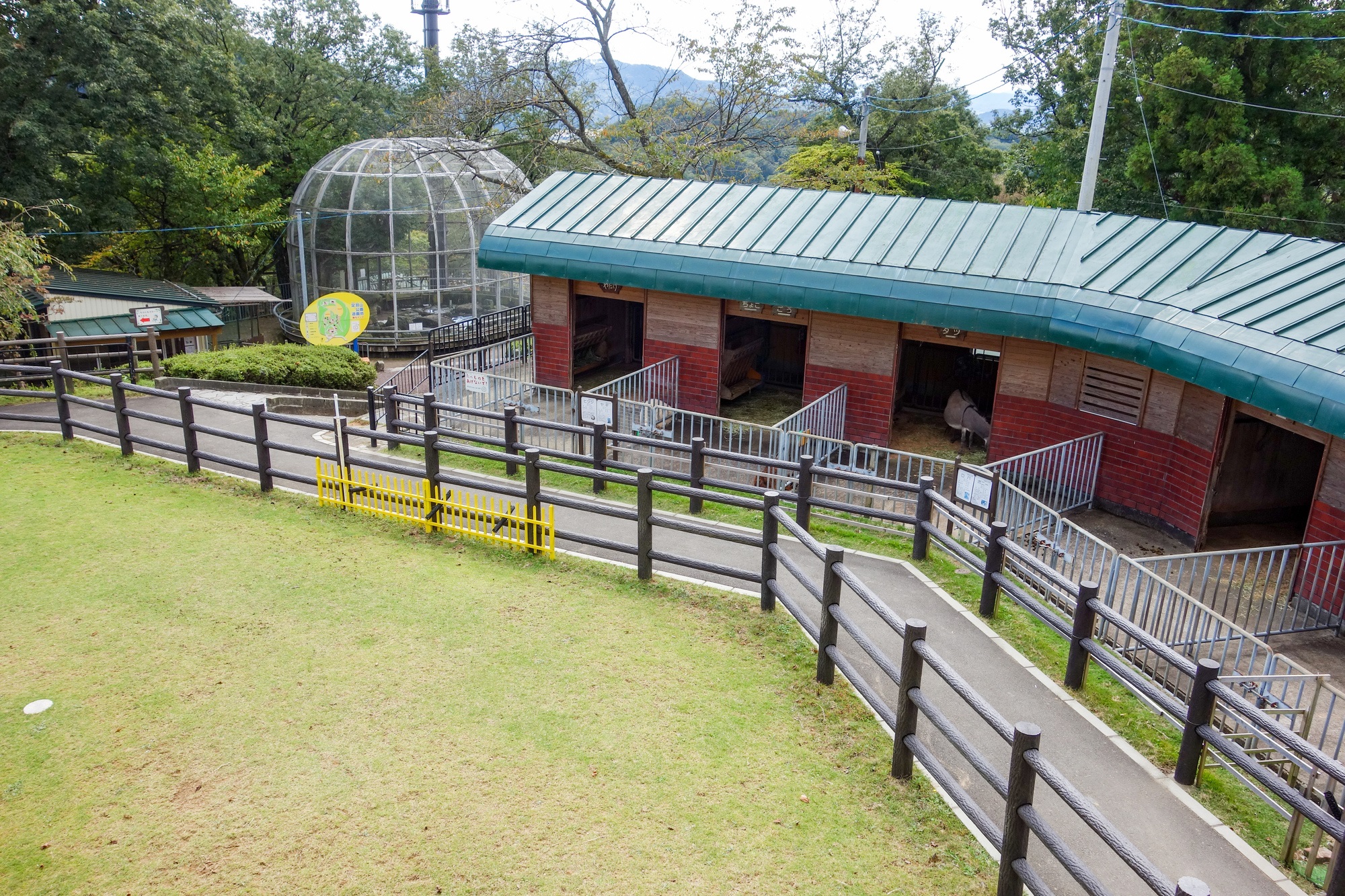 福井_足羽山公園_遊び・体験_2