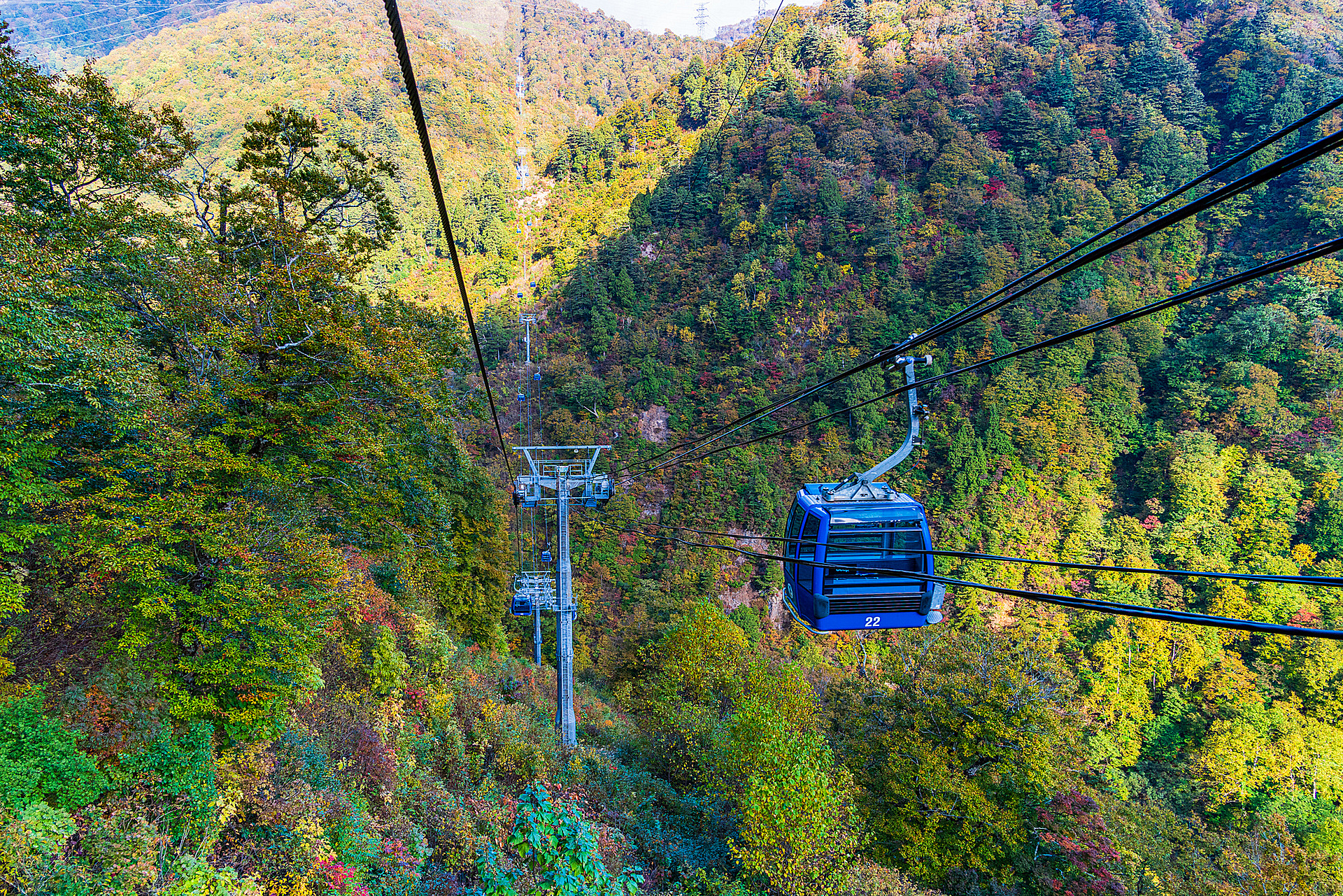 新潟_苗場ドラゴンドラ_遊び・体験_1