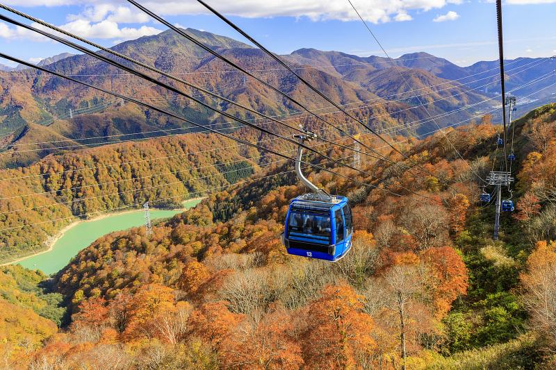 新潟_苗場ドラゴンドラ_遊び・体験_2