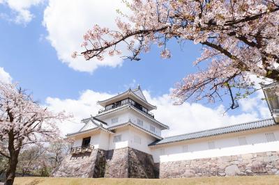 新潟県_悠久山公園_遊び・体験_1