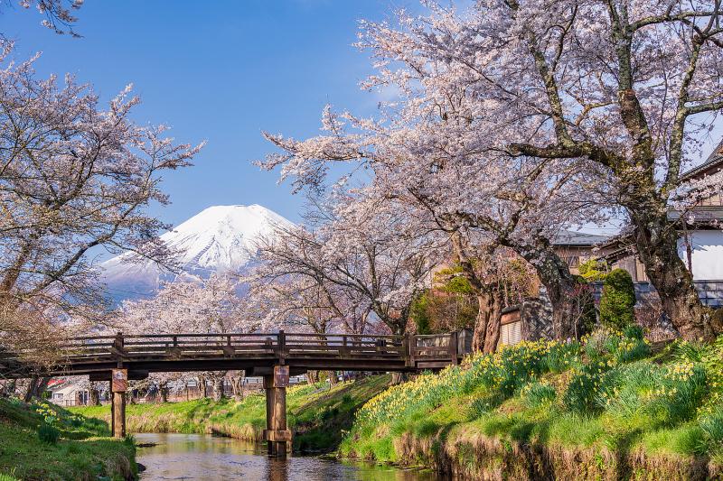 山梨_忍野八海_遊び・体験_4