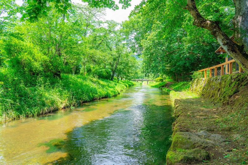 山梨_忍野八海_遊び・体験_5