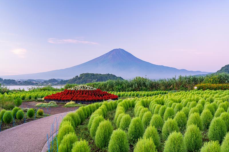 山梨_大石公園_遊び・体験_1