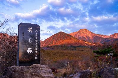 山梨_美し森_遊び・体験_1