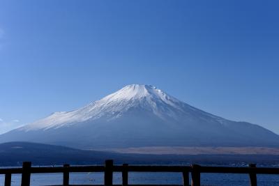 山梨県_長池親水公園_遊び・体験_1