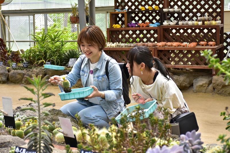 静岡_伊豆シャボテン動物公園_遊び・体験_6