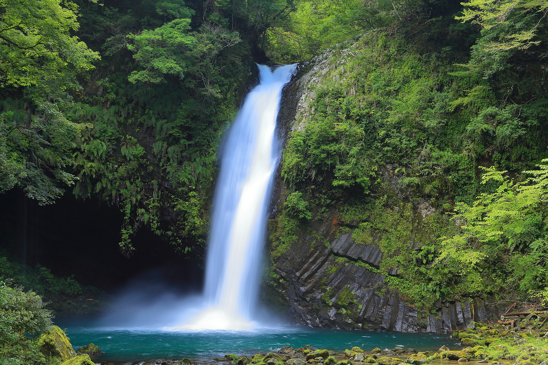 静岡県_浄蓮の滝_遊び・体験_1