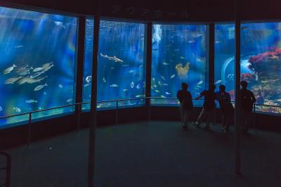 静岡_下田海中水族館_遊び・体験_1
