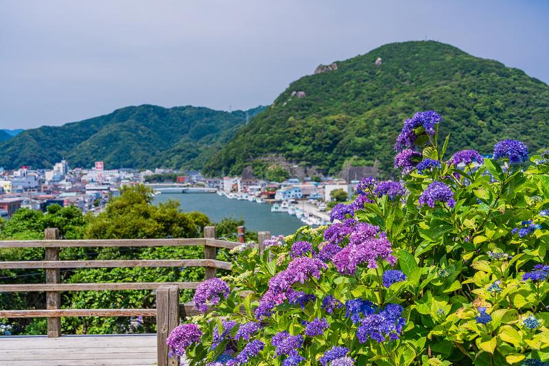 静岡_下田公園_遊び・体験_2
