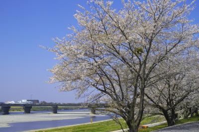 三重_宮川堤_遊び・体験_1