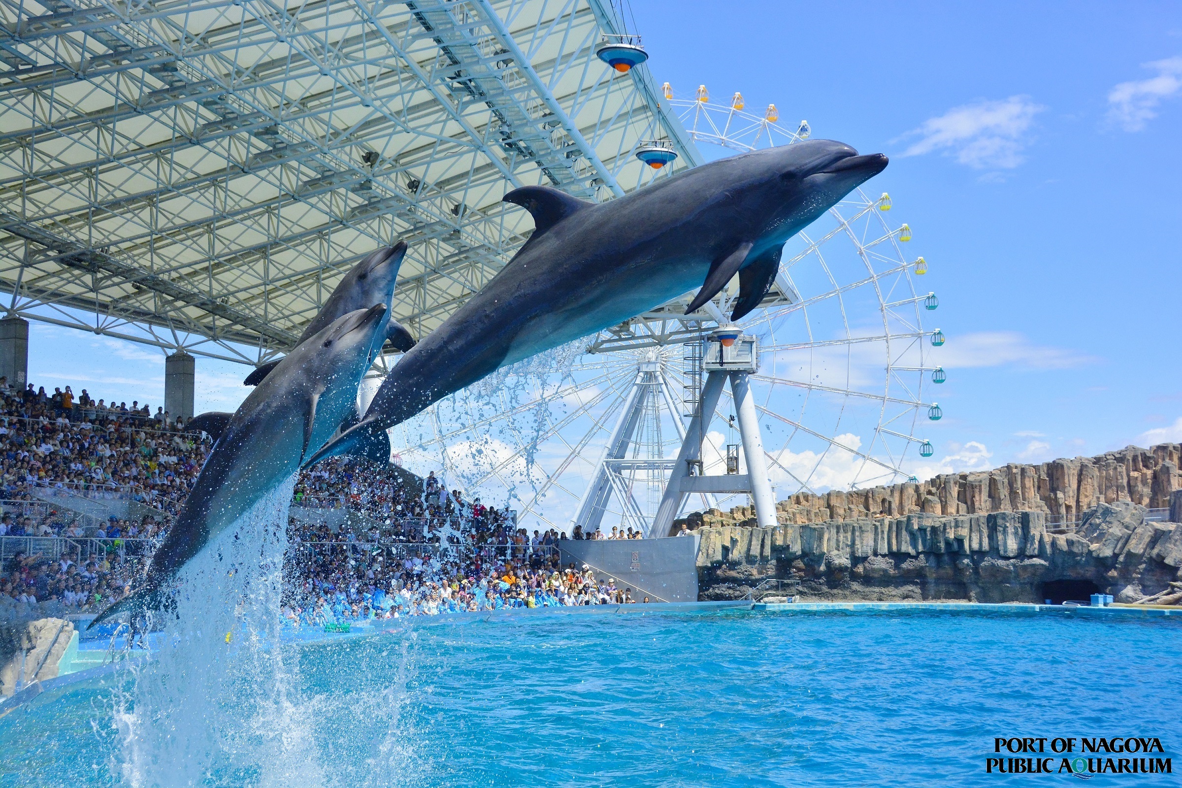 愛知_名古屋港水族館_遊び・体験_1