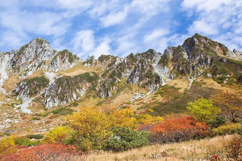 長野_千畳敷カール_遊び・体験_4