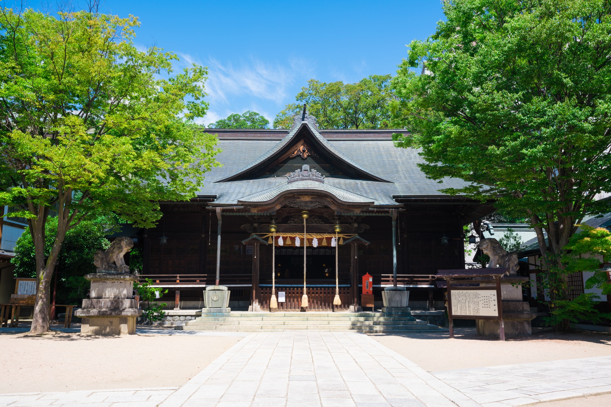 長野_四柱神社_遊び・体験_1