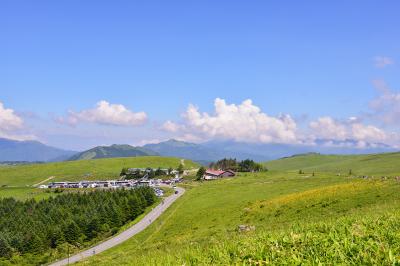 長野_霧ヶ峰高原_遊び・体験_1