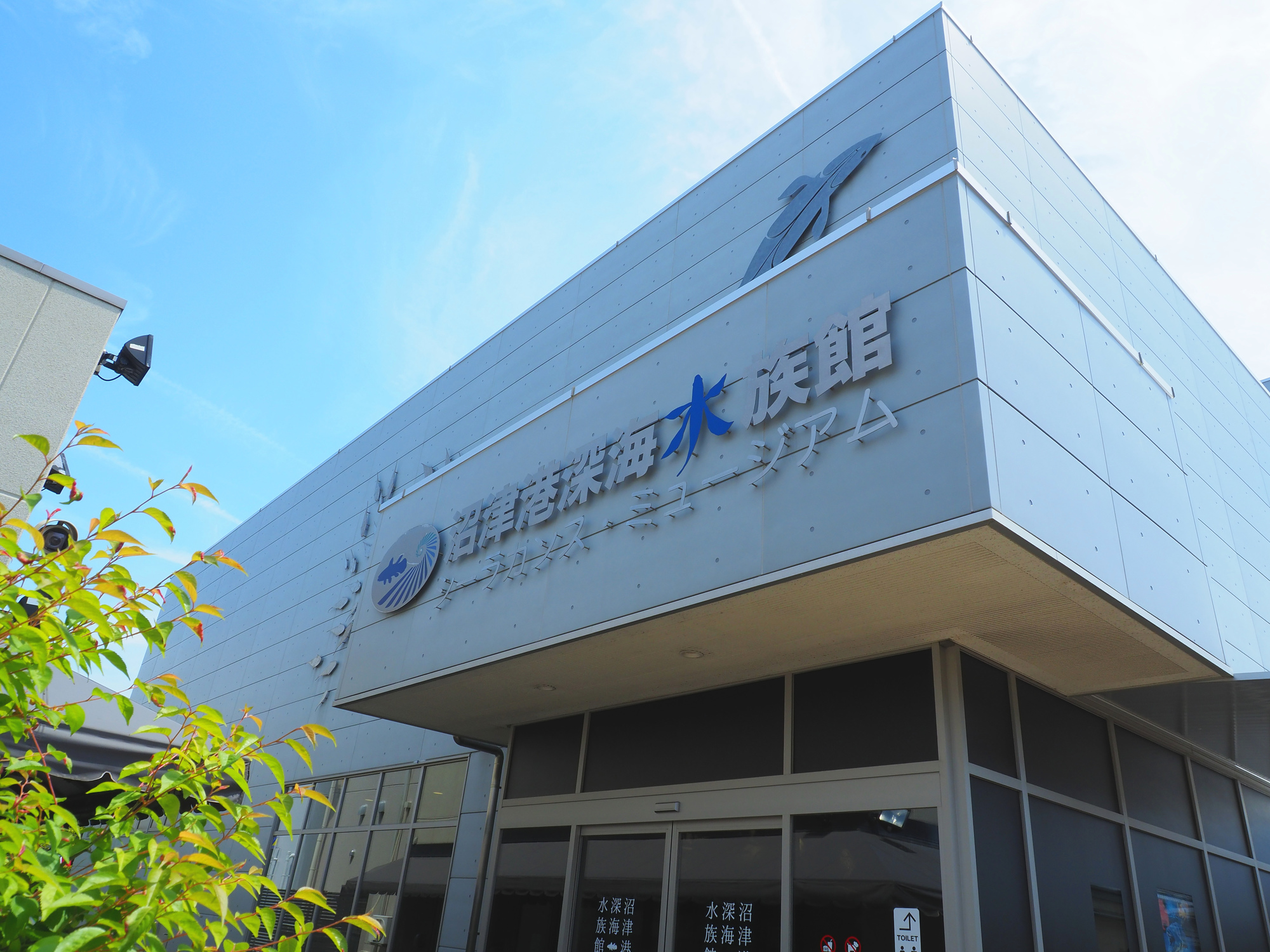 静岡県_沼津港深海水族館_遊び・体験_1