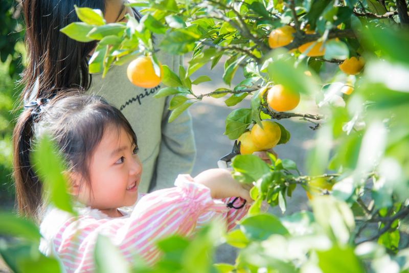 静岡_はままつフルーツパーク時之栖_遊び・体験_3