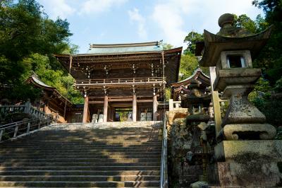 岐阜県_伊奈波神社_遊び・体験_1