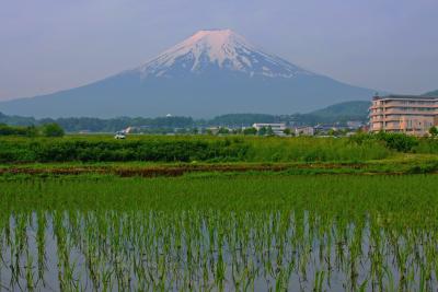 山梨_富士山（山梨側）_遊び・体験_1