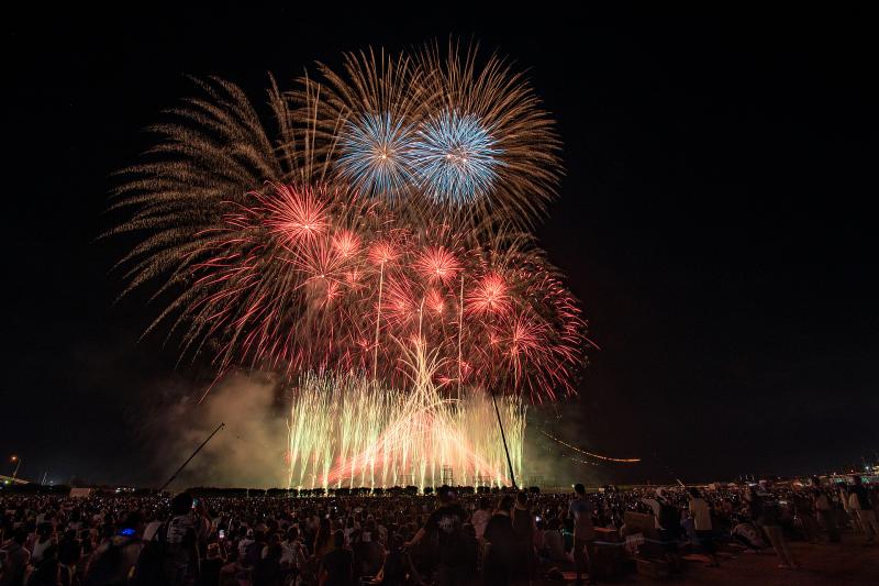 静岡_原野谷川親水公園_遊び・体験_1