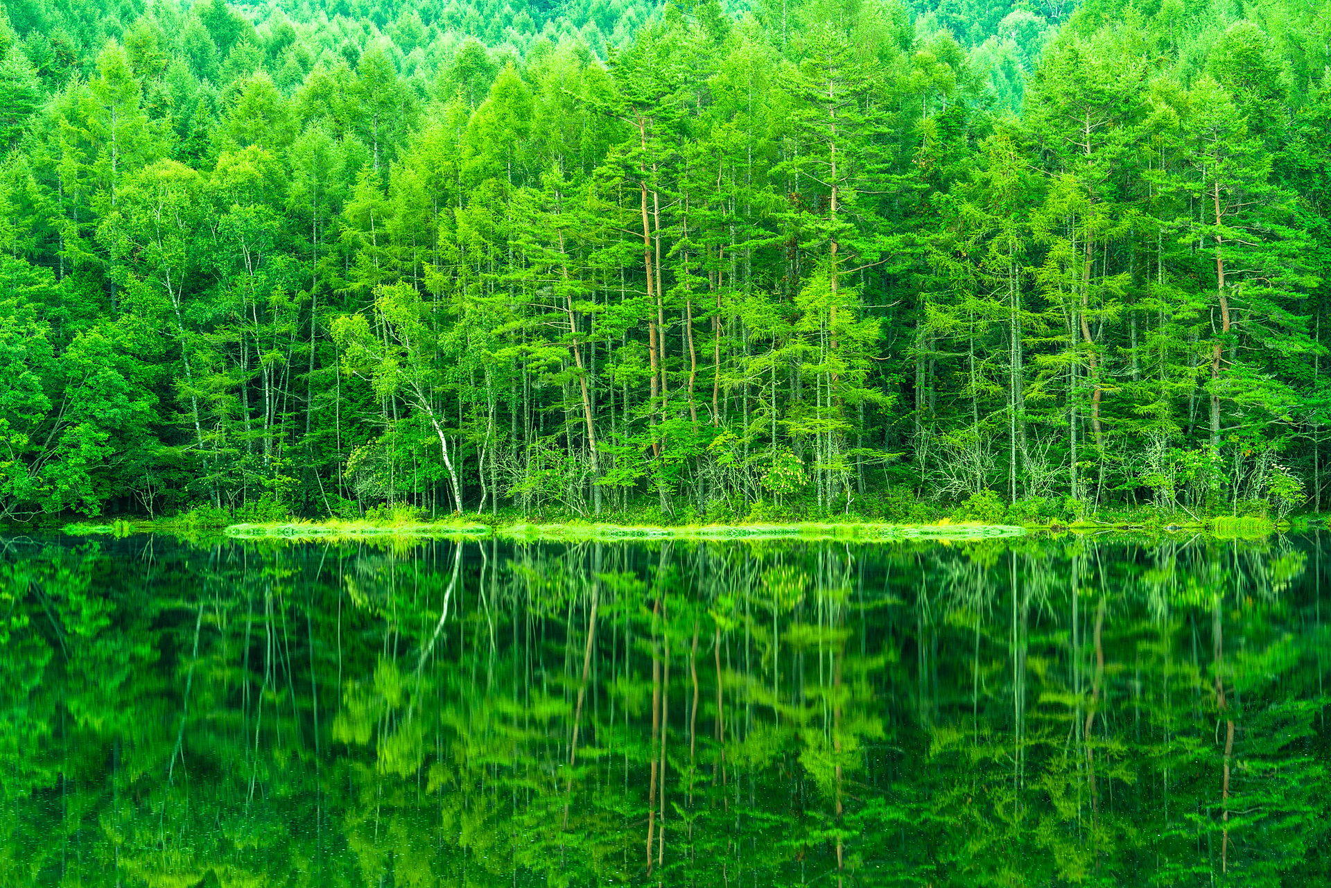 長野県_御射鹿池_遊び・体験_1