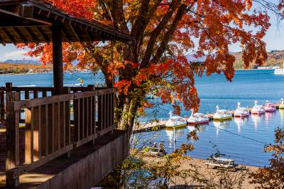 山梨_旭日丘湖畔緑地公園_遊び・体験_1