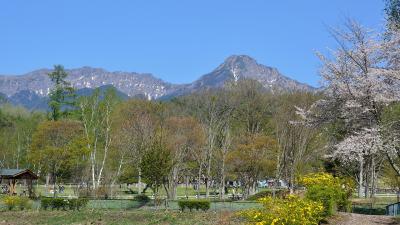 山梨_八ヶ岳自然文化園_遊び・体験_1