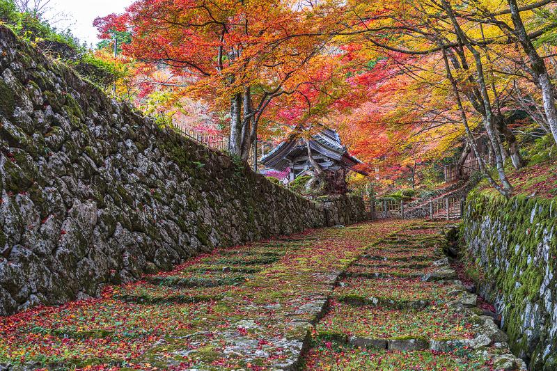 滋賀_百済寺_遊び・体験_3