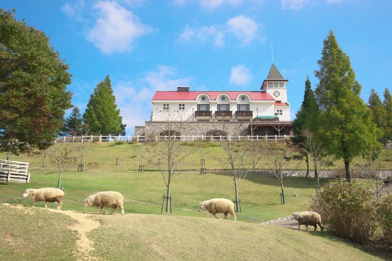 兵庫_六甲山牧場_遊び・体験_1