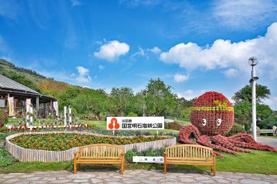 兵庫_淡路島 国営明石海峡公園_遊び・体験_1